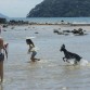 1era visita a la playa